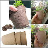 Indoor Gardening Tool Kit