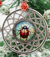 "Lady Bug"